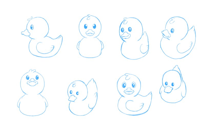 Ducks