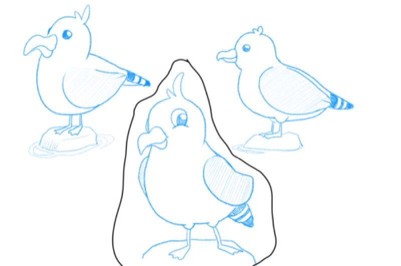 Seagull