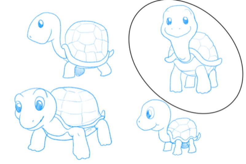 Turtle